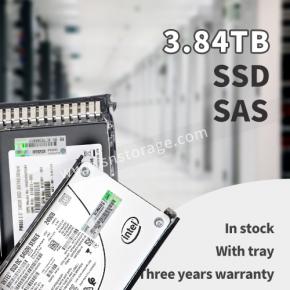 M09K5 3.84TB 12G 2.5 RI SAS SSD w/G176J